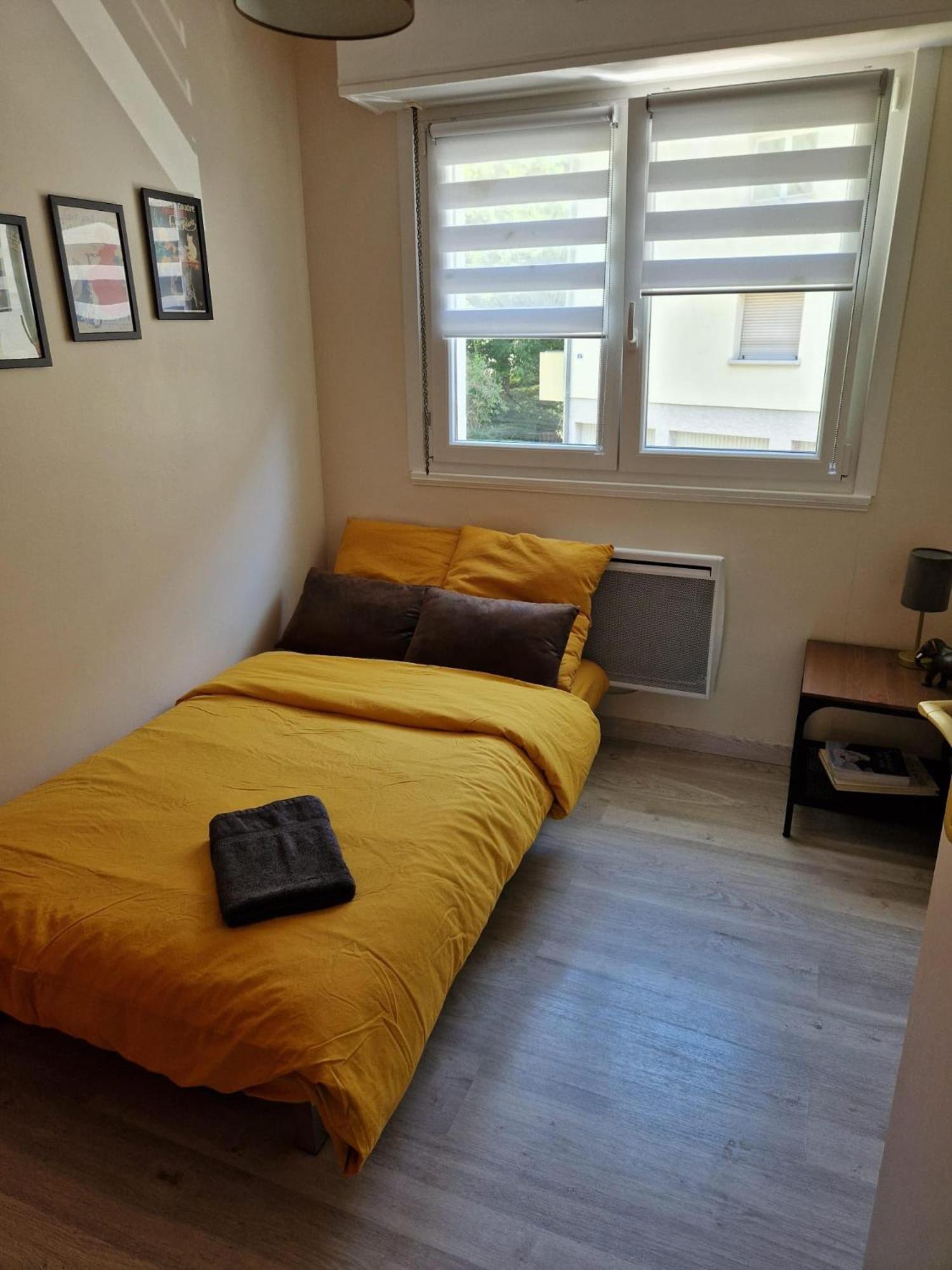 Robertsau Tres Bel Appartement Strasburg Zewnętrze zdjęcie